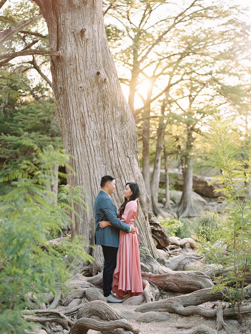 Engagement photo of a couple next to a Cypress tree at Mckinney Falls State Park