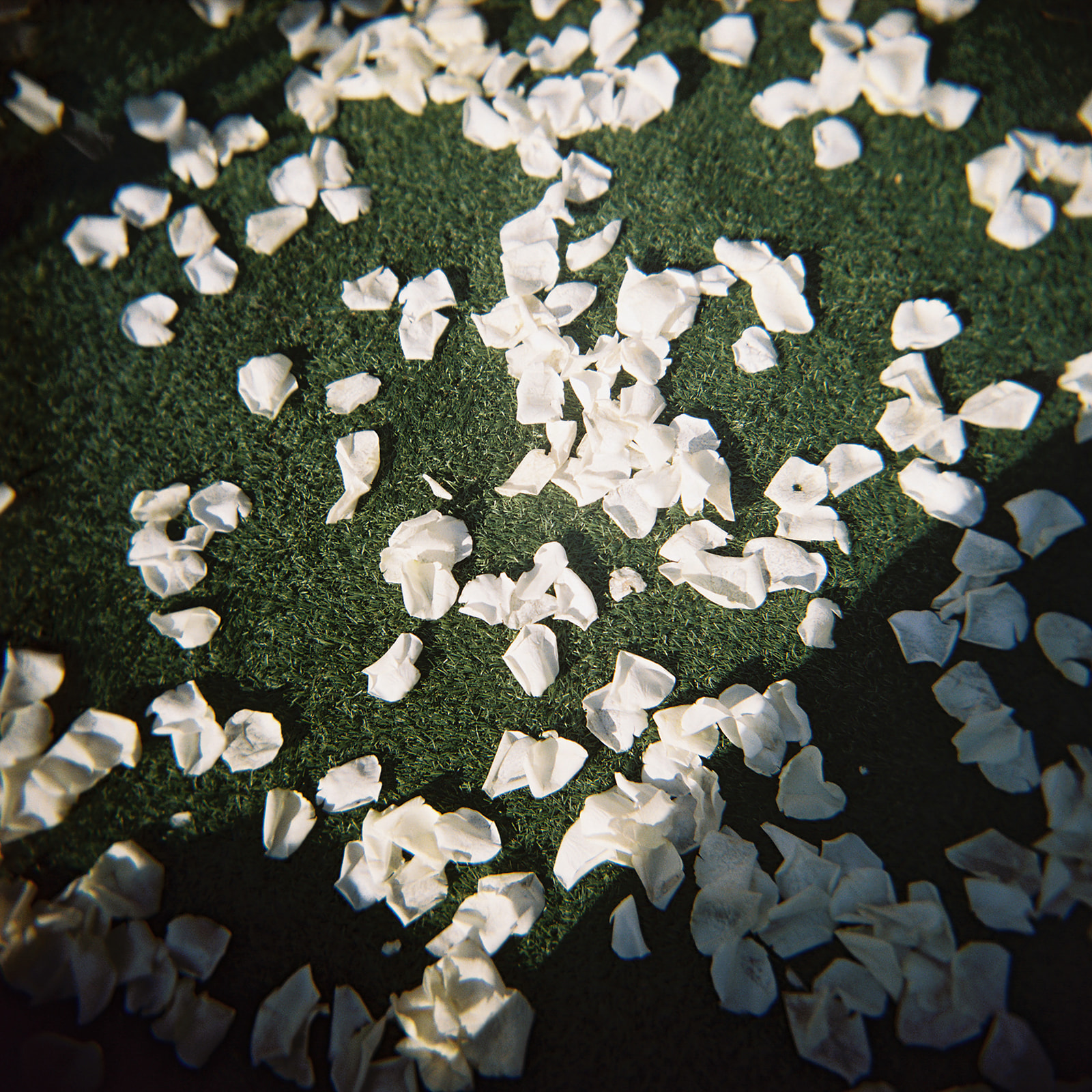 Kennedy + Josh | Wed